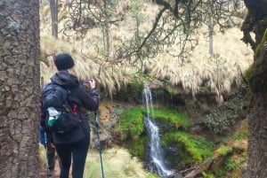 Desde Puebla: Excursión de un día a pie por el Iztaccíhuatl | Nivel 2