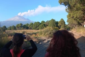 Desde Puebla: Excursión de un día a pie por el Iztaccíhuatl | Nivel 2