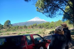 Desde Puebla: Excursión de un día a pie por el Iztaccíhuatl | Nivel 2