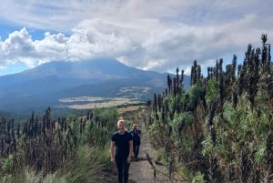 Desde Puebla: Excursión de un día a pie por el Iztaccíhuatl | Nivel 2