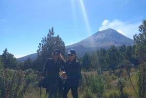 Desde Puebla: Excursión de un día a pie por el Iztaccíhuatl | Nivel 2