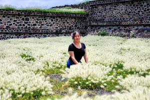 From Puebla: TEOTIHUACAN PRIVATE TOUR