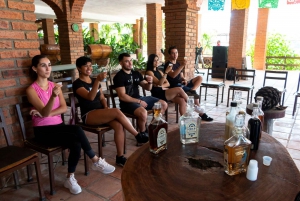 From Puerto & Nuevo Vallarta: ATV Tour with Tequila Tasting