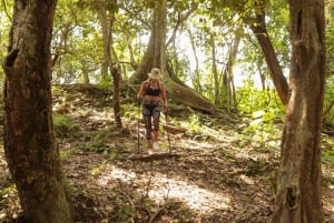 From Puerto Vallarta: 2-Hour Guided Sierra Vallejo Hike