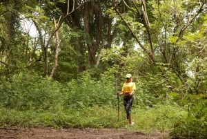 From Puerto Vallarta: 2-Hour Guided Sierra Vallejo Hike