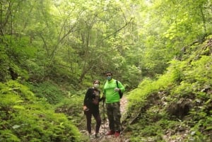 From Puerto Vallarta: 2-Hour Guided Sierra Vallejo Hike