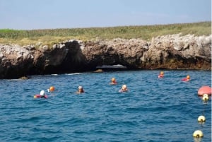 Desde Puerto Vallarta: Excursión de snorkel a las Islas Marietas