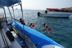 Desde Puerto Vallarta: Excursión de snorkel a las Islas Marietas