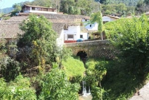 From Puerto Vallarta: San Sebastian del Oeste with Lunch