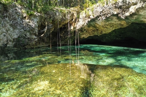 From Riviera : Kaan Luum with Cenotes & Lunch ECO