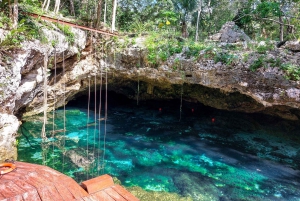 From Riviera Maya: Cenotes & Akumal Turtle Swim Trip