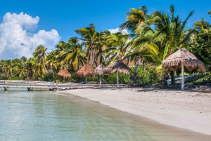 From Riviera Maya: Day Tour to Contoy and Isla Mujeres