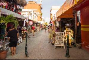 From Riviera Maya: Day Tour to Contoy and Isla Mujeres