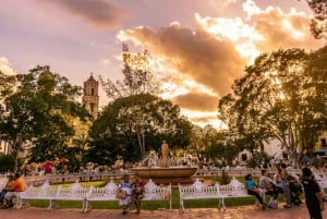 Desde Riviera Maya: Excursión a Ek Balam y Cenote con comida y servicio de recogida