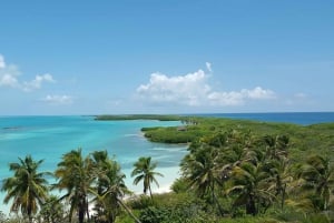 Desde la Riviera Maya: Excursión de un día a Isla Contoy e Isla Mujeres