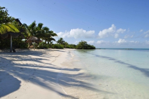 Desde la Riviera Maya: Excursión de un día a Isla Contoy e Isla Mujeres
