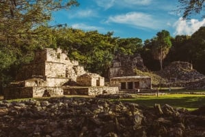 From Riviera Maya: Mayan Ruins & Sian Kaan Reserve Tour