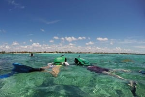 From Riviera Maya: Sian Ka'an Discovery Tour with Lunch