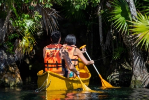 From Riviera Maya : Tulum Ruins, Cenotes & Jungle Adventure