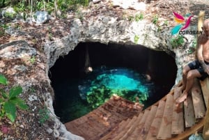 Riviera Maya: Private Tour Tulum Ruins, Cenotes, Swimming with Turtles