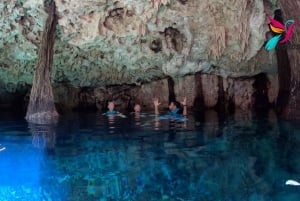 Riviera Maya: Private Tour Tulum Ruins, Cenotes, Swimming with Turtles