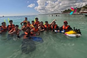 Riviera Maya: Private Tour Tulum Ruins, Cenotes, Swimming with Turtles