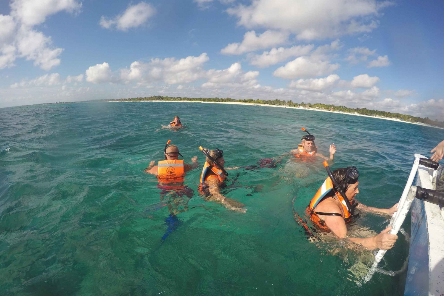 From Riviera Maya: Turtles & Cenotes Adventure Half-Day Tour
