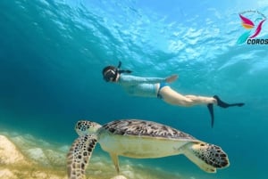 Desde Riviera Maya: Tour VIP Ruinas de Tulum, Nado con Tortugas y Cenotes