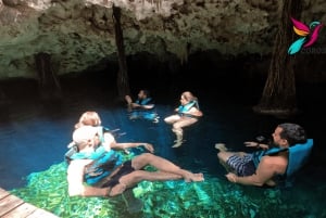 Desde Riviera Maya: Tour VIP Ruinas de Tulum, Nado con Tortugas y Cenotes