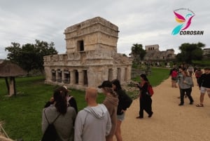 Desde Riviera Maya: Tour VIP Ruinas de Tulum, Nado con Tortugas y Cenotes