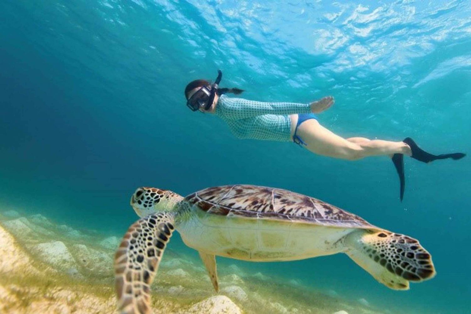 Riviera Maya: Tulum Guided Tour and Akumal Swim with Turtles