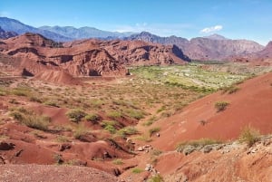 Desde Salta: Excursión de un día a Cafayate con cata de vinos