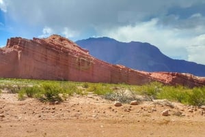 Desde Salta: Excursión de un día a Cafayate con cata de vinos