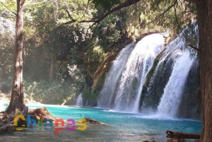 From San Cristobal: Chiflon and Lakes of Montebello Tour