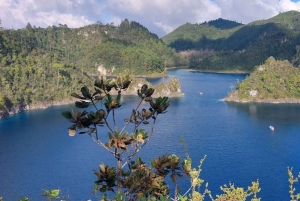 From San Cristobal: Chiflon and Lakes of Montebello Tour