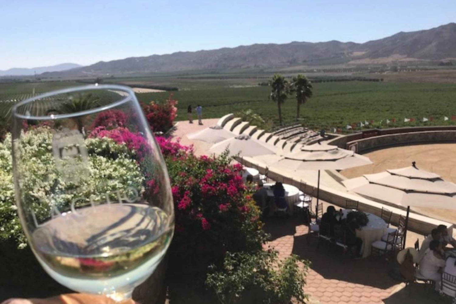 From Tijuana: Valle de Guadalupe Private Winery Tour