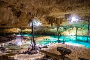 From Tulum: 3 Cenotes Adventure, GoPro Pictures and Food