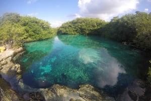 From Tulum: 3 Cenotes Adventure, GoPro Pictures and Food