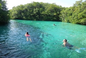 From Tulum: 3 Cenotes Adventure, GoPro Pictures and Food