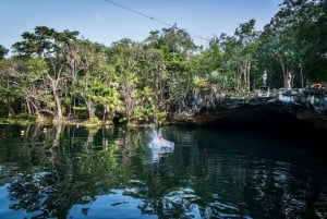 From Tulum: Four-Cenote Adventure