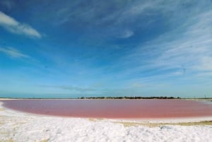 Desde Valladolid: Tour Privado Rio Lagartos, Coloradas, Ek Balam y Cenote