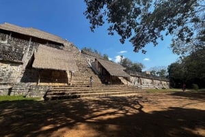 Desde Valladolid: Tour Privado Rio Lagartos, Coloradas, Ek Balam y Cenote