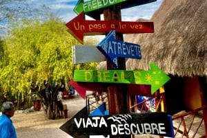 Desde Valladolid: Tour Privado Rio Lagartos, Coloradas, Ek Balam y Cenote