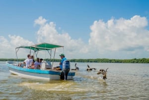 Desde Valladolid: Excursión de un día a Río Lagartos y Ek Balam