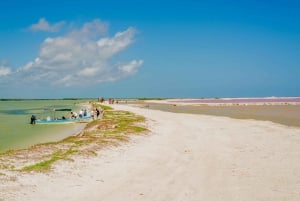 Desde Valladolid: Excursión de un día a Río Lagartos y Ek Balam