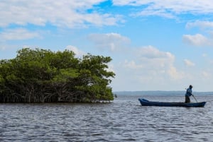 From Veracruz: Nature & Seafood Boat Tour to Madinga