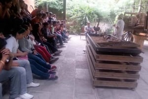 Desde Veracruz: Excursión de un día a Xalapa y Coatepec