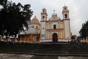 From Veracruz: Xalapa, Xico & Coatepec Culture & Coffee Tour