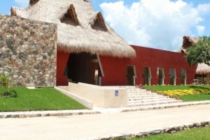 Full-Day Cuzama Cenote Tour from Mérida