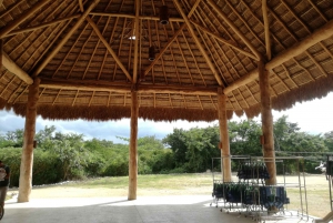 Full-Day Cuzama Cenote Tour from Mérida
